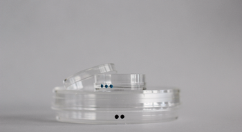 Excellness Biotech SA