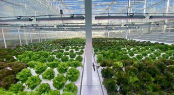 CleanGreens Solutions SA
