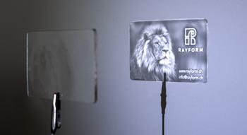 Swiss Startup - Rayform Team Image