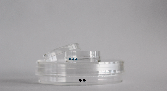 Swiss Startup - Excellness Biotech Profile Main Image