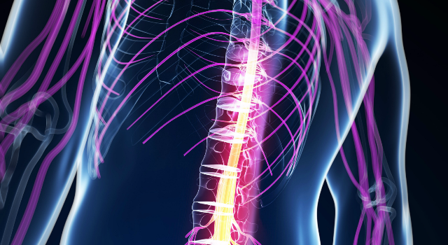 Swiss Startup - ONWARD Medical Profile Main Image
