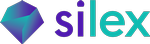 Logo Ex Nunc Intelligence SA (Silex)