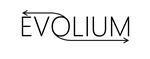 Logo Evolium Technologies SA