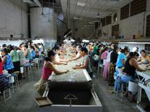 coffee_hand_sorting_01-1.jpg