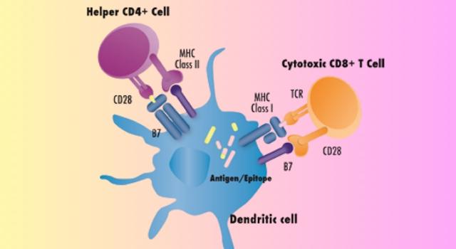 Swiss Startup - Amal Therapeutics SA  Profile Main Image