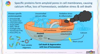 Swiss Startup - Amporin Pharmaceuticals Product Image