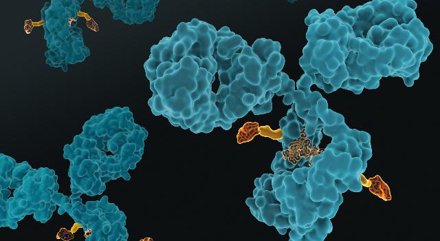 Swiss Startup - Araris Biotech Profile Main Image