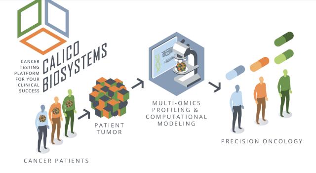 Swiss Startup - CalicoBiosystems Profile Main Image