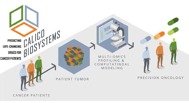 Swiss Startup - Calico Biosystems Profile Main Image