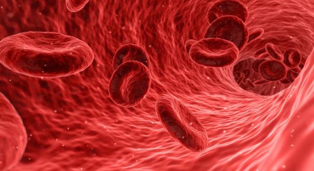 Swiss Startup - Immitra Bio Profile Main Image