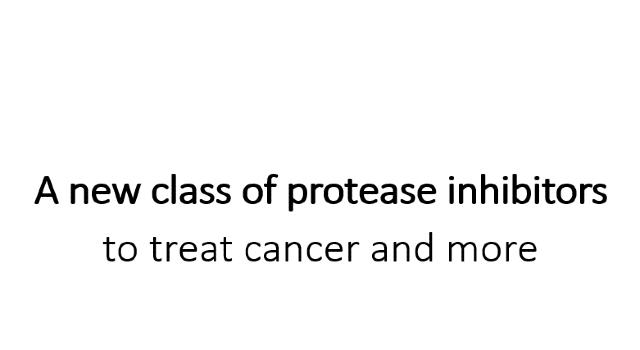 Swiss Startup - Biodelphis Therapeutics Profile Main Image