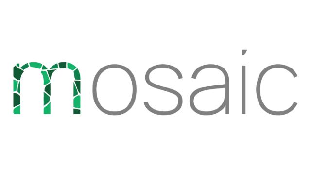 Swiss Startup - Mosaic SoC Profile Main Image