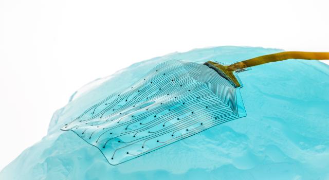 Swiss Startup - Neurosoft Bioelectronics Profile Main Image