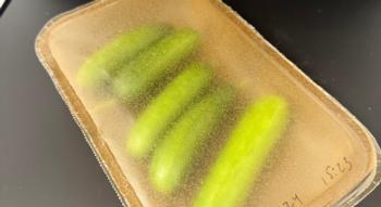 Swiss Startup - Peelpack Additional Image