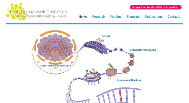 Swiss Startup - REMUUN Profile Main Image