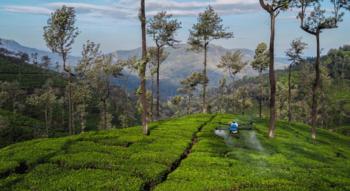 Swiss Startup - SUIND Additional Image