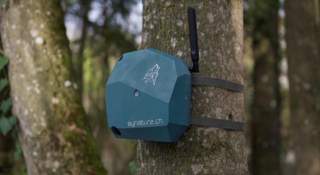 Swiss Startup - Profile Main Image