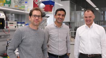 Swiss Startup - Translation-X Team Image